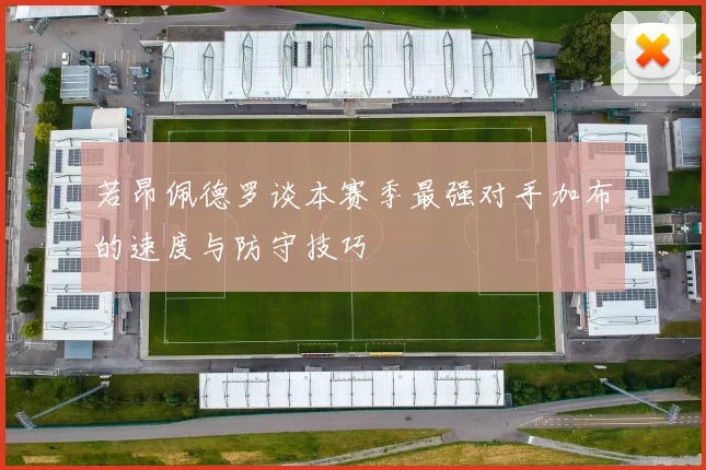 若昂佩德罗谈本赛季最强对手加布的速度与防守技巧